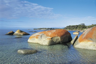 Lychen covered boulders